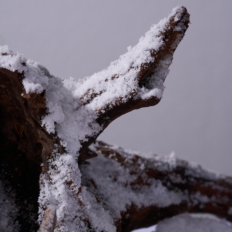 SAP for Artificial Snow