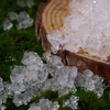 SAP for Agriculture Application